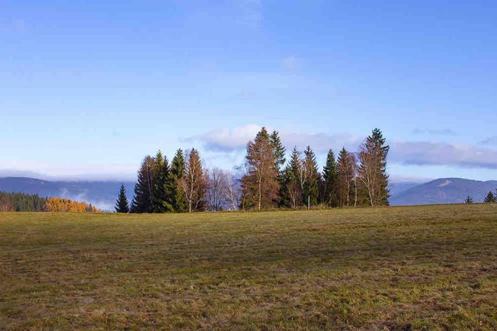 Korenov 10 Chalupa Na Horach Екстер'єр фото